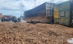 Ôtô lật, đè 3 cậu cháu tử vong