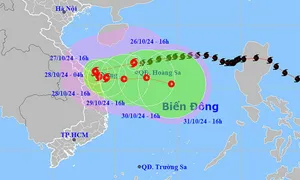 Bão Trà Mi giảm cấp, nguy cơ gây ngập ở miền Trung